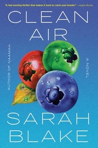 Sarah Blake - Clean Air.