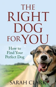 The Right Dog for You