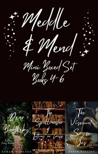 Meddle &amp; Mend Mini Boxed Set Books 4-6