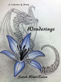 Wonderings