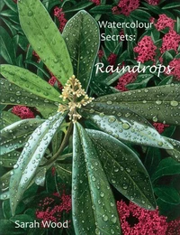 Watercolour Secrets: Raindrops