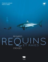 Requins et raies