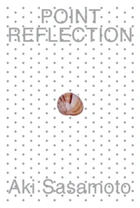 Point Reflection
