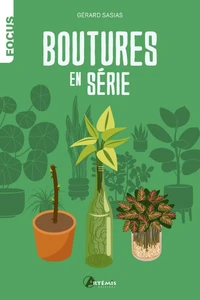 Boutures en série