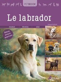 Le labrador