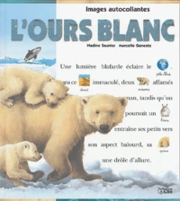 L'ours blanc