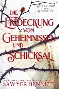 Die Entdeckung von Geheimnissen und Schicksal (Die Geschichte des Steinschleiers, Buch Zwei)