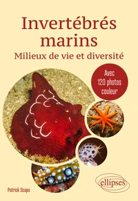 Invertébrés marins