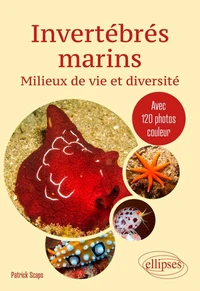 Invertébrés marins