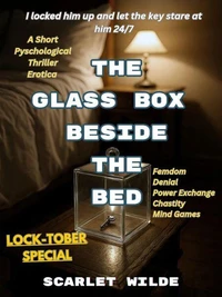 The Glass Box Beside The Bed