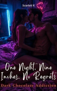 One Night, Nine Inches, No Regrets(Dark Chocolate Addiction)