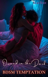 Owned in the Dark (BDSM Temptation)