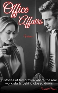 Office Affairs Vol 1