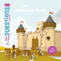 Les châteaux forts NE