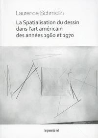 La spatialisation du dessin dans l'art américain des années 1960 et 1970