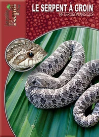 Le serpent à groin