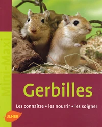 Les gerbilles