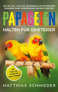 Papageien halten für Einsteiger