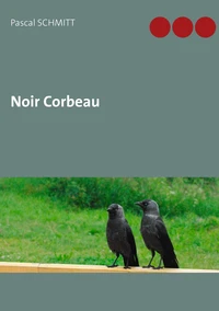 Noir corbeau