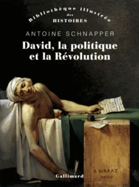 David, la politique et la révolution