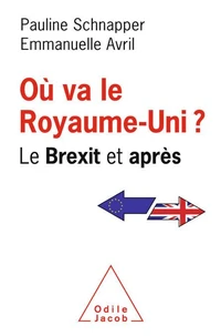 Où va le Royaume Uni ?