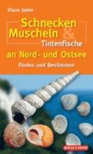 Schnecken, Muscheln & Tintenfische an Nord- und Ostsee - Finden und Bestimmen.