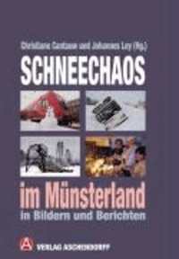 Schneechaos im Münsterland - Bilder und Erinnerungen nicht nur aus Ochtrup.