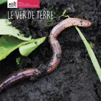 Le ver de terre