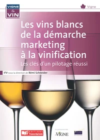 Les vins blancs de la démarche marketing à la vinification