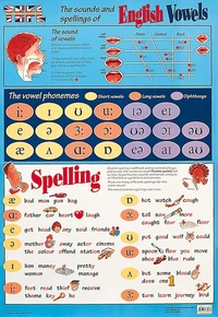 TEFL Sounds and Spelling of English Vowels
