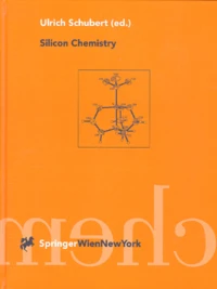 SILICON CHEMISTRY