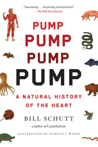 Pump Pump Pump