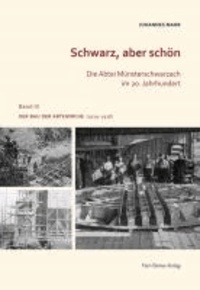 Schwarz, aber schön - Die Abtei Münsterschwarzach im 20 Jahrhundert. Band 3: Planung und Fertigstellung der Abteikirche (1929-1938).