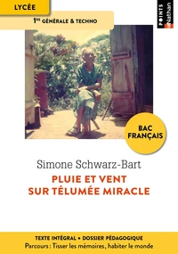 Pluie et vent sur Télumée Miracle