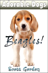 Adorable Dogs: Beagles