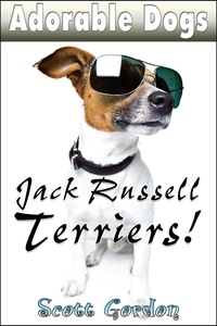  Scott Gordon - Adorable Dogs: Jack Russell Terriers - Adorable Dogs.