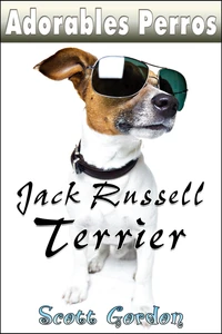 Adorables Perros: los Jack Russell Terrier