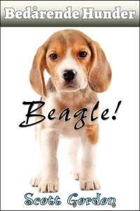 Bedårende Hunder: Beagle