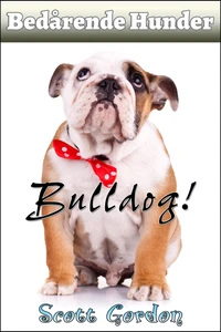 Bedårende Hunder: Bulldog