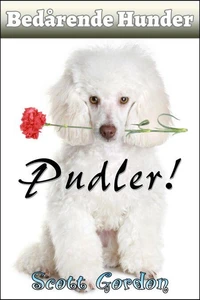 Bedårende Hunder: Pudler