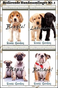 Bedårende Hundesamlinger Nr. 1