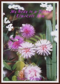 My Body is a Forest-Elm/Left Arm
