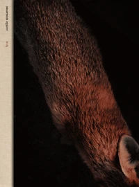 Ferae