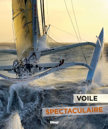  Sea&Co - Voile spectaculaire.