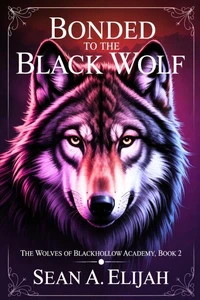 Bonded to the Black Wolf