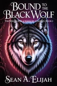 Bound to the Black Wolf