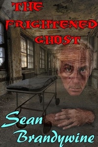  Sean Brandywine - The Frightened Ghost.