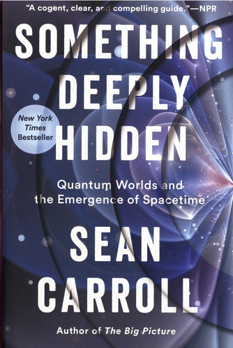 Something Deeply Hidden. Quantum Worlds and the Emergence of Spacetime