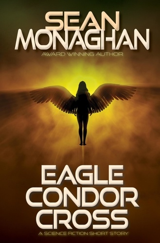  Sean Monaghan - Eagle Condor Cross.