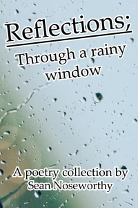 Reflections; Through a Rainy Window